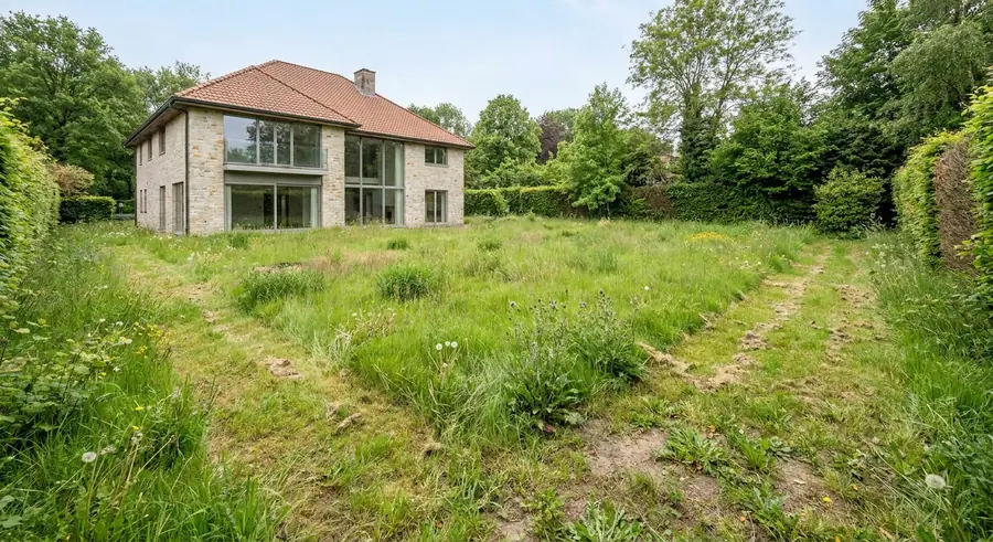 Jardin sans piscine avant simulation par IA